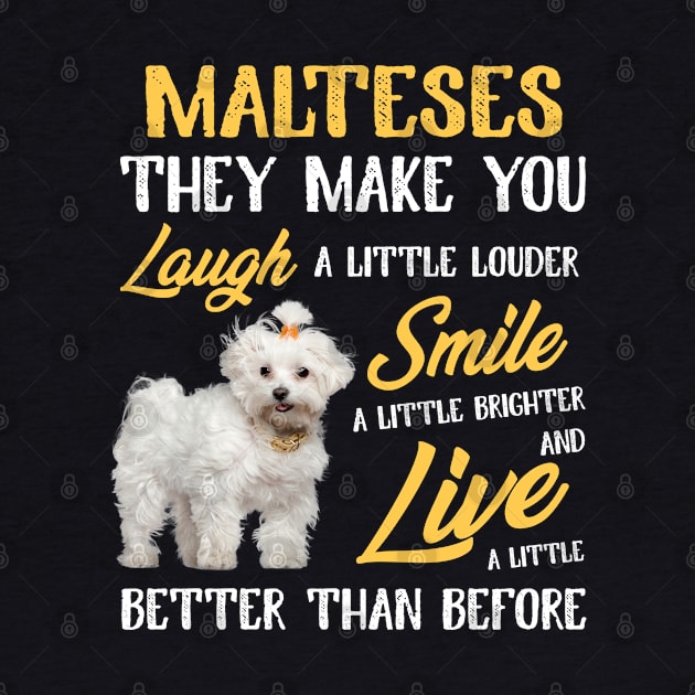 Malteses They Make You Laugh by White Martian